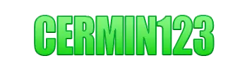 Logo CERMIN123